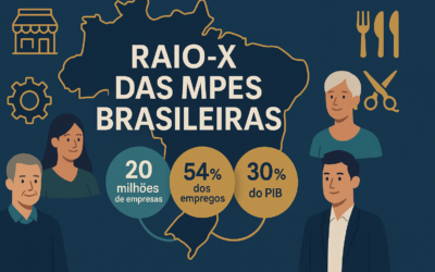 Perfil das Micro e Pequenas Empresas no Brasil em 2024: Dados, Classificação e Tendências